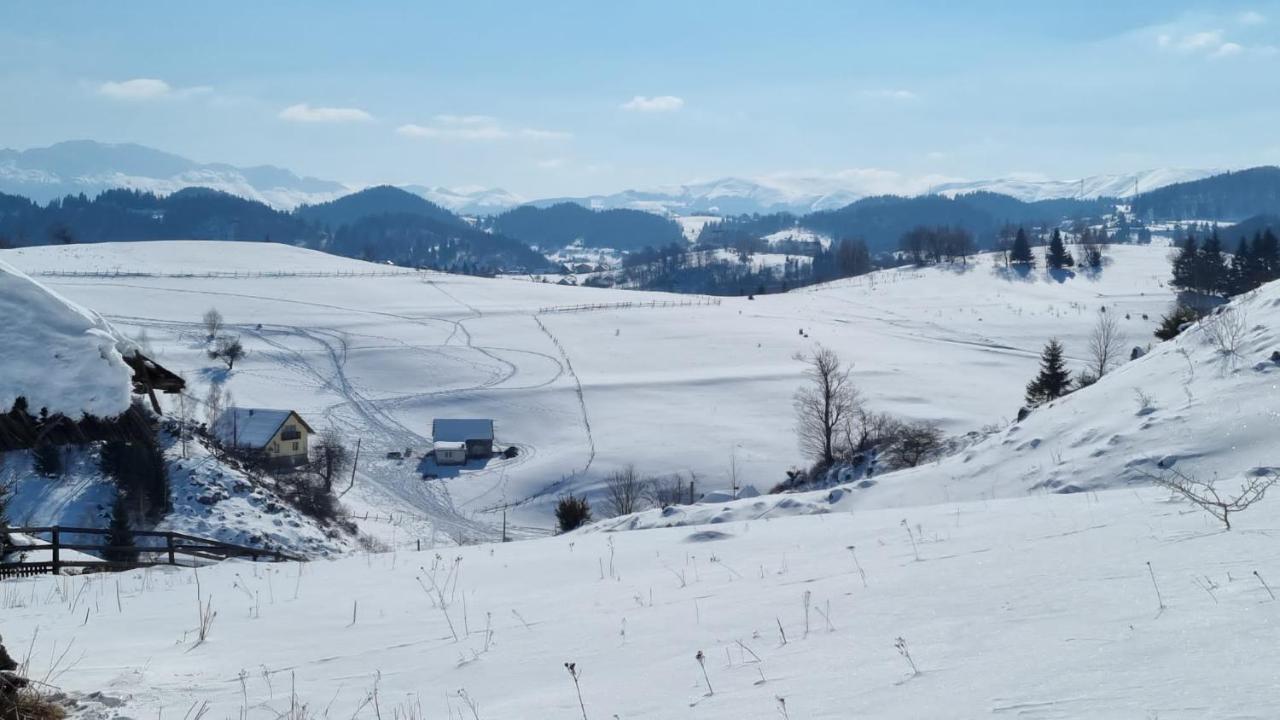 Pensiunea Crai Nou Şirnea 외부 사진